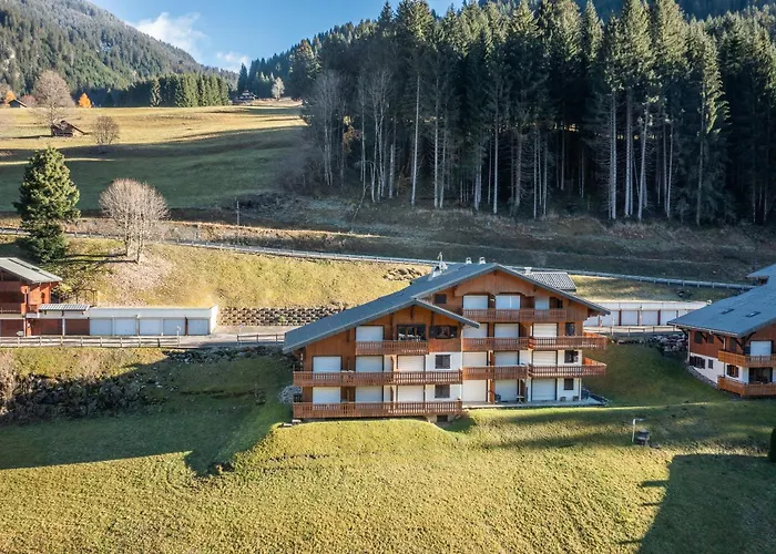 Studio Rez-De-Jardin, 4 Pers Chatel